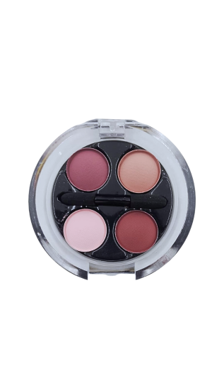 PINK 21 PALETA DE SOMBRA MY ONLY NEED COR 04 2.4G 